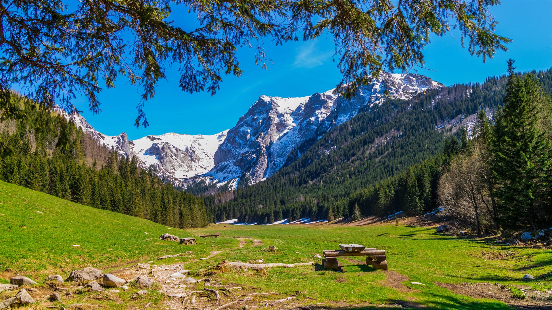 Dolina z zieloną łąką i drewnianą ławką na pierwszym planie, otoczona iglastym lasem i ośnieżonymi szczytami