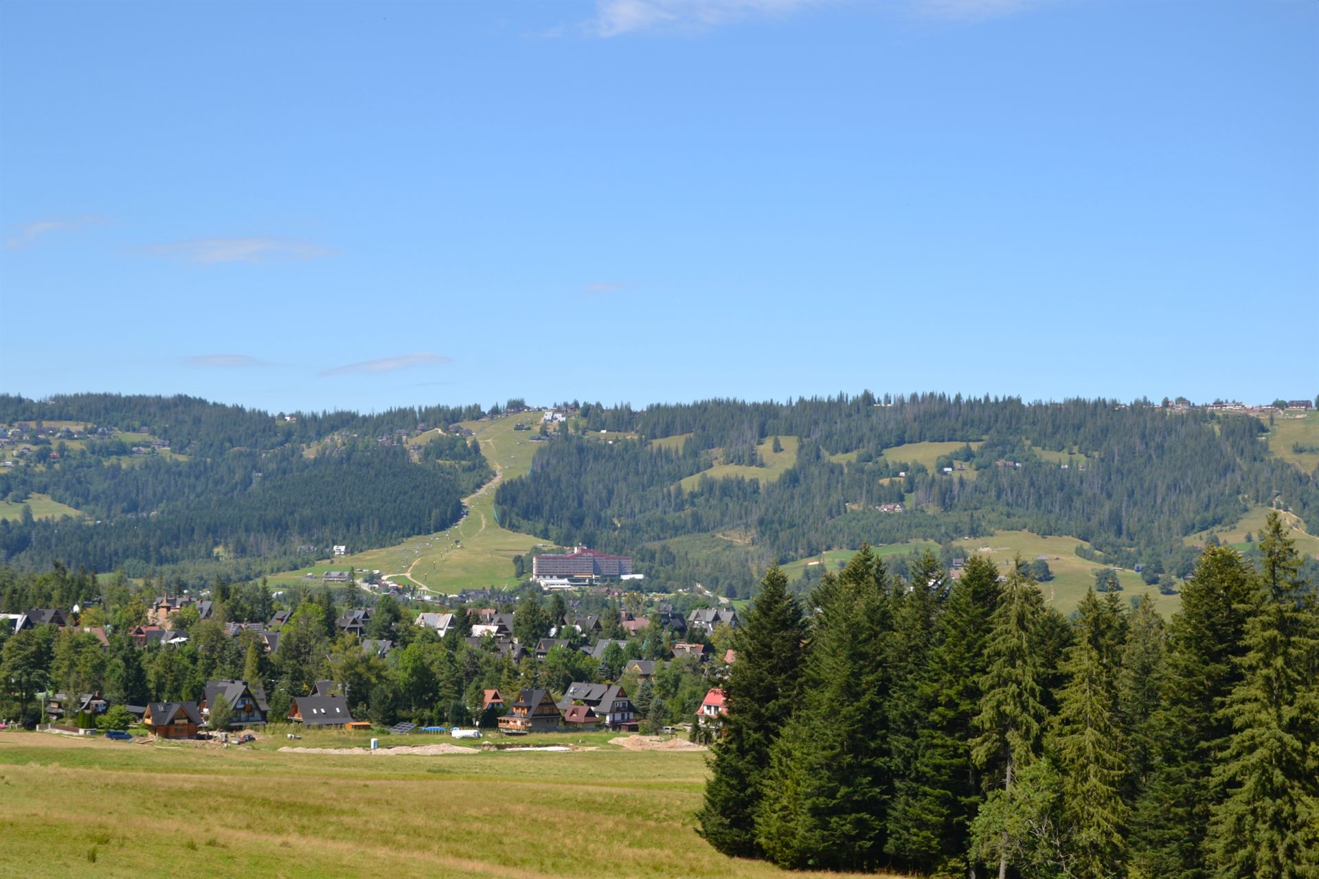 Drewniane domy w dolinie przed zalesionymi wzgórzami, zielona łąka i błękitne niebo
