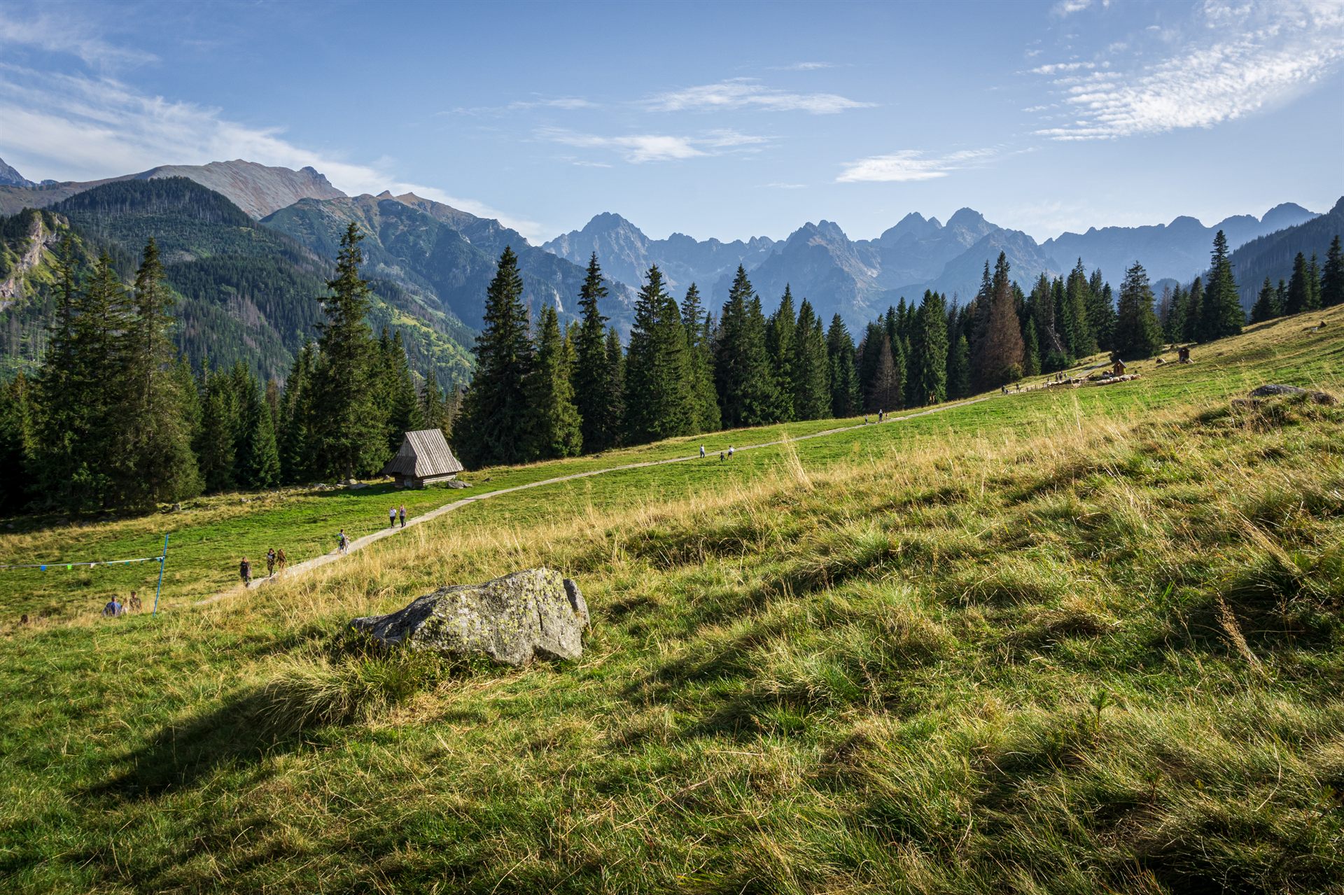 Górska łąka z drewnianą bacówką, ścieżką z wędrowcami, gęstym lasem iglastym i skalistymi szczytami w tle